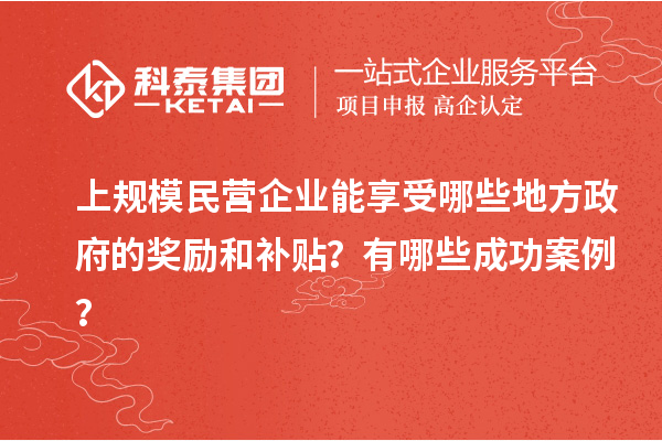 上規(guī)模民營(yíng)企業(yè)能享受哪些地方政府的獎(jiǎng)勵(lì)和補(bǔ)貼？有哪些成功案例？