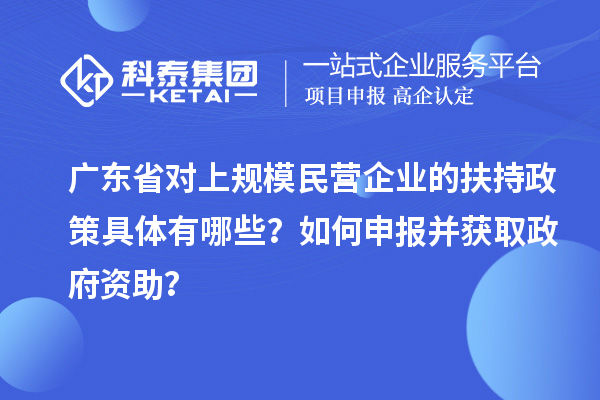 廣東省對上規(guī)模民營企業(yè)的扶持政策具體有哪些？如何申報并獲取政府資助？