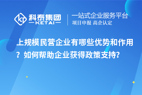 上規(guī)模民營企業(yè)有哪些優(yōu)勢和作用？如何幫助企業(yè)獲得政策支持？