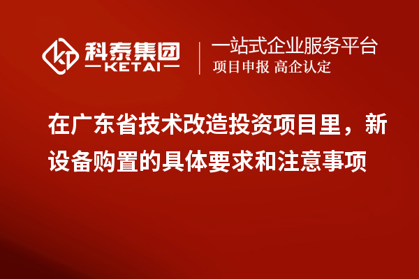 在廣東省技術(shù)改造投資項目里，新設(shè)備購置的具體要求和注意事項