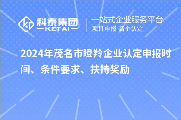 2024年茂名市瞪羚企業(yè)認(rèn)定申報(bào)時(shí)間、條件要求、扶持獎(jiǎng)勵(lì)