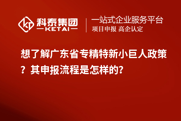 想了解廣東省專精特新小巨人政策？其申報流程是怎樣的？