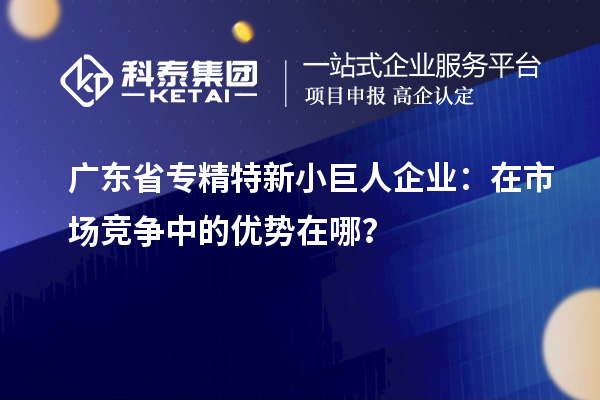 廣東省專精特新小巨人企業(yè)：在市場競爭中的優(yōu)勢在哪？