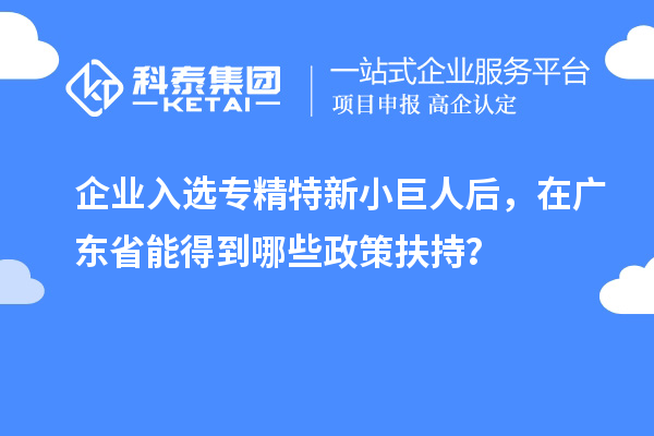 企業(yè)入選專精特新小巨人后，在廣東省能得到哪些政策扶持？