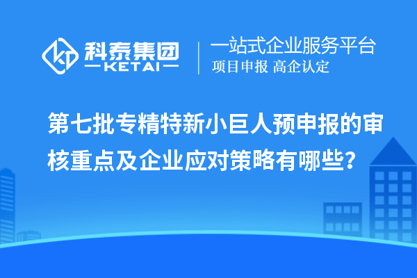 第七批專(zhuān)精特新小巨人預(yù)申報(bào)的審核重點(diǎn)及企業(yè)應(yīng)對(duì)策略有哪些？