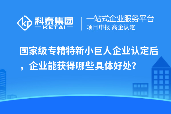 國(guó)家級(jí)專精特新小巨人企業(yè)認(rèn)定后，企業(yè)能獲得哪些具體好處？