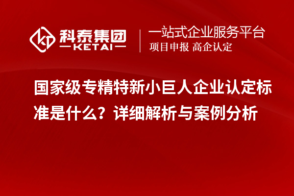 國家級專精特新小巨人企業(yè)認(rèn)定標(biāo)準(zhǔn)是什么？詳細(xì)解析與案例分析