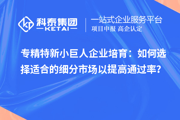 專精特新小巨人企業(yè)培育：如何選擇適合的細(xì)分市場(chǎng)以提高通過率？