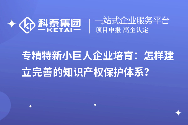 專精特新小巨人企業(yè)培育：怎樣建立完善的知識產(chǎn)權(quán)保護體系？