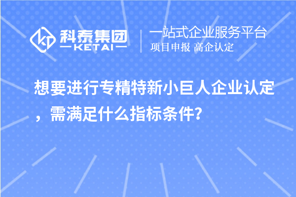 想要進行專精特新小巨人企業(yè)認定，需滿足什么指標(biāo)條件？