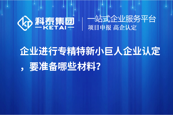 企業(yè)進行專精特新小巨人企業(yè)認定，要準備哪些材料？