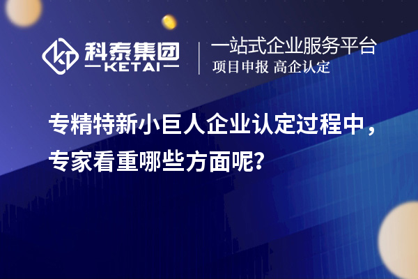 專精特新小巨人企業(yè)認定過程中，專家看重哪些方面呢？