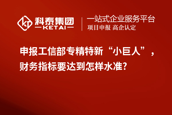 申報(bào)工信部專精特新 “小巨人”，財(cái)務(wù)指標(biāo)要達(dá)到怎樣水準(zhǔn)?