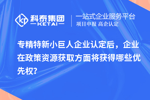 專精特新小巨人企業(yè)認(rèn)定后，企業(yè)在政策資源獲取方面將獲得哪些優(yōu)先權(quán)？