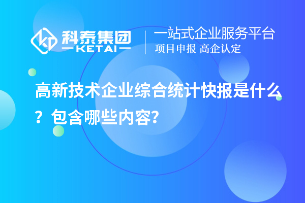 高新技術(shù)企業(yè)綜合統(tǒng)計快報是什么？包含哪些內(nèi)容？