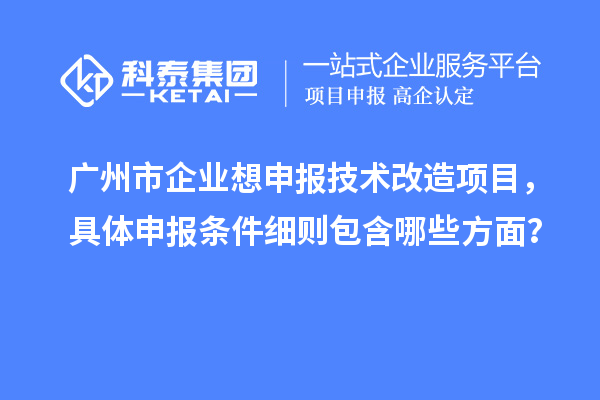 廣州市企業(yè)想申報技術(shù)改造項目，具體申報條件細(xì)則包含哪些方面？