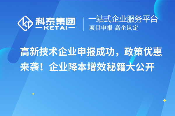 高新技術(shù)企業(yè)申報成功，政策優(yōu)惠來襲！企業(yè)降本增效秘籍大公開