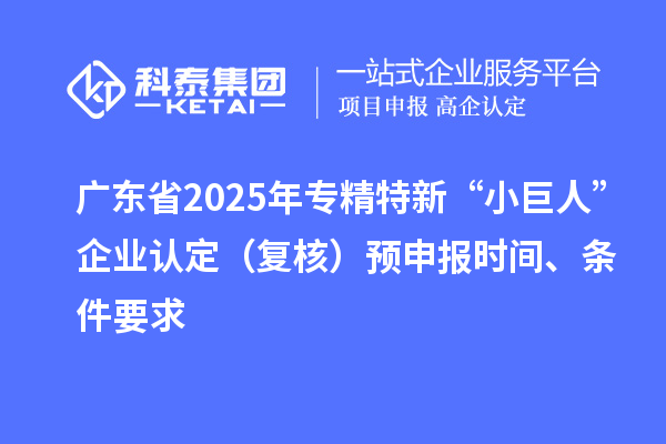 廣東省2025年專精特新“小巨人”企業(yè)認(rèn)定（復(fù)核）預(yù)申報(bào)時(shí)間、條件要求