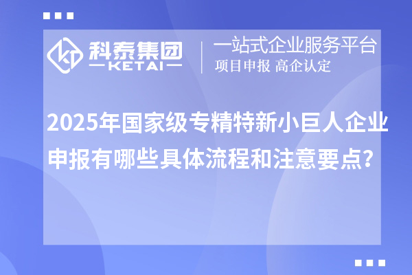 2025年國家級專精特新<a href=http://www.bxlmsc.com/zjtx/ target=_blank class=infotextkey>小巨人企業(yè)申報(bào)</a>有哪些具體流程和注意要點(diǎn)？