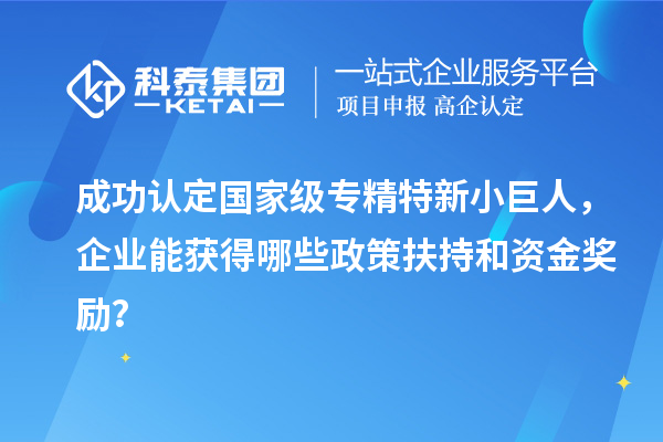 成功認(rèn)定國家級專精特新小巨人，企業(yè)能獲得哪些政策扶持和資金獎勵？