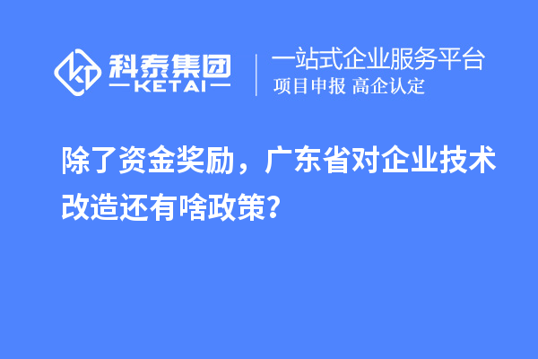 除了資金獎(jiǎng)勵(lì)，廣東省對(duì)企業(yè)技術(shù)改造還有啥政策？