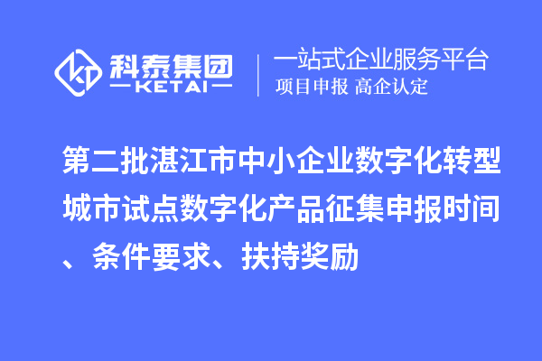 第二批湛江市中小企業(yè)數(shù)字化轉型城市試點數(shù)字化產品征集申報時間、條件要求、扶持獎勵