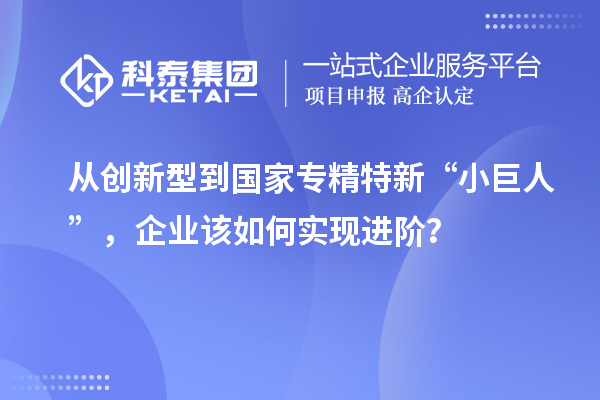從創(chuàng)新型到國家專精特新“小巨人”，企業(yè)該如何實現(xiàn)進階？