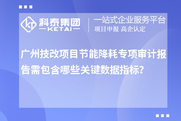 廣州技改項目節(jié)能降耗專項審計報告需包含哪些關(guān)鍵數(shù)據(jù)指標(biāo)？