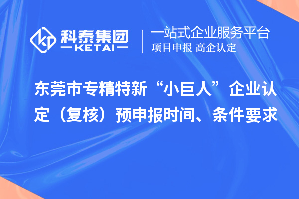東莞市專精特新“小巨人”企業(yè)認(rèn)定（復(fù)核）預(yù)申報(bào)時(shí)間、條件要求