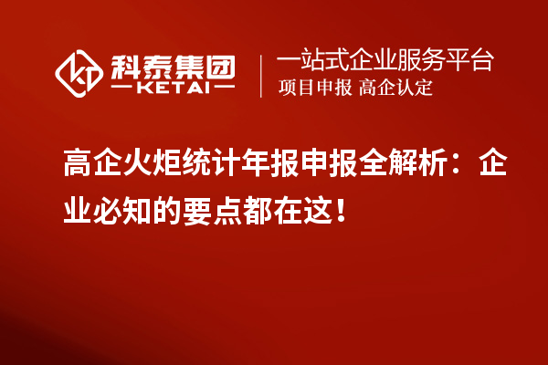 高企火炬統(tǒng)計(jì)年報(bào)申報(bào)全解析：企業(yè)必知的要點(diǎn)都在這！