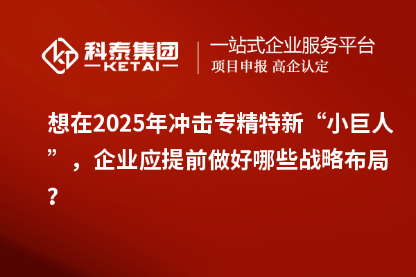想在2025年沖擊專精特新 “小巨人”，企業(yè)應(yīng)提前做好哪些戰(zhàn)略布局？