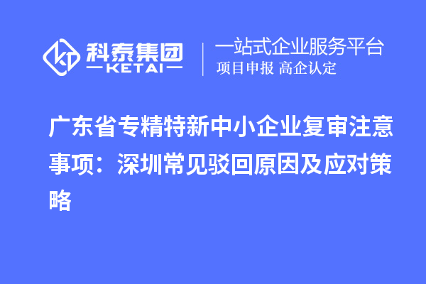 廣東省專精特新中小企業(yè)復(fù)審注意事項(xiàng)：深圳常見駁回原因及應(yīng)對策略