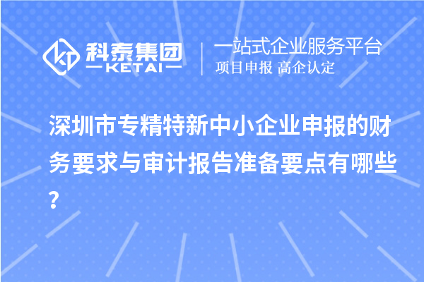深圳市專精特新中小企業(yè)申報的財務(wù)要求與審計報告準(zhǔn)備要點(diǎn)有哪些？