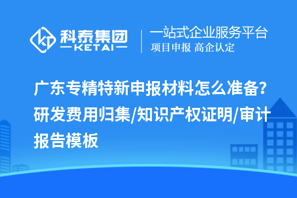 廣東專精特新申報材料怎么準(zhǔn)備？研發(fā)費用歸集/知識產(chǎn)權(quán)證明/審計報告模板