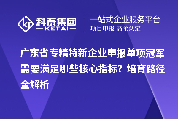 廣東省專精特新企業(yè)申報單項冠軍需要滿足哪些核心指標？培育路徑全解析