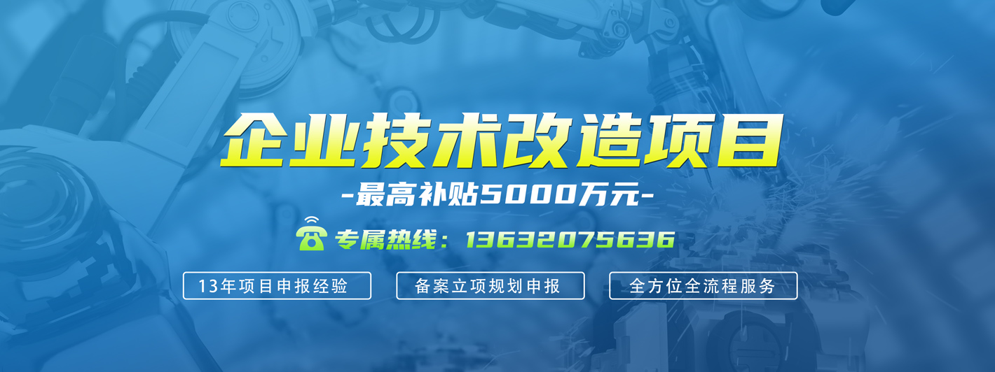 企業(yè)技術(shù)改造項(xiàng)目申報